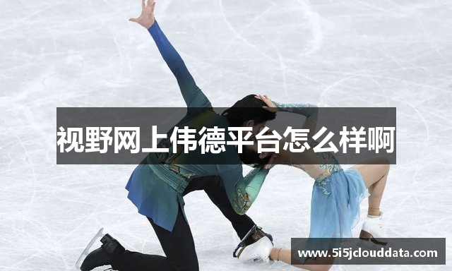视野网上伟德平台怎么样啊